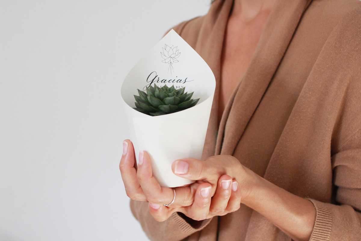 detalle-suculenta-invitados-boda_Samikay_3.jpg