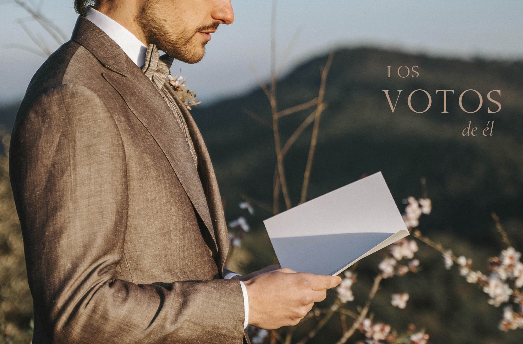 votos_el.jpg