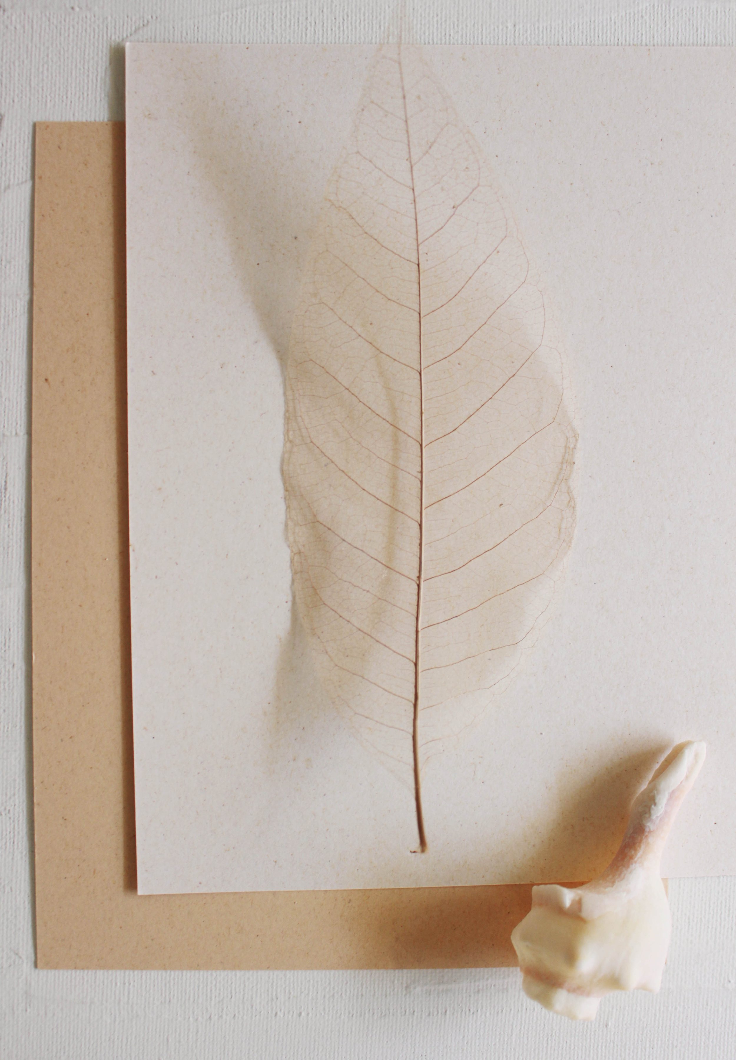 ecopaper4.jpg