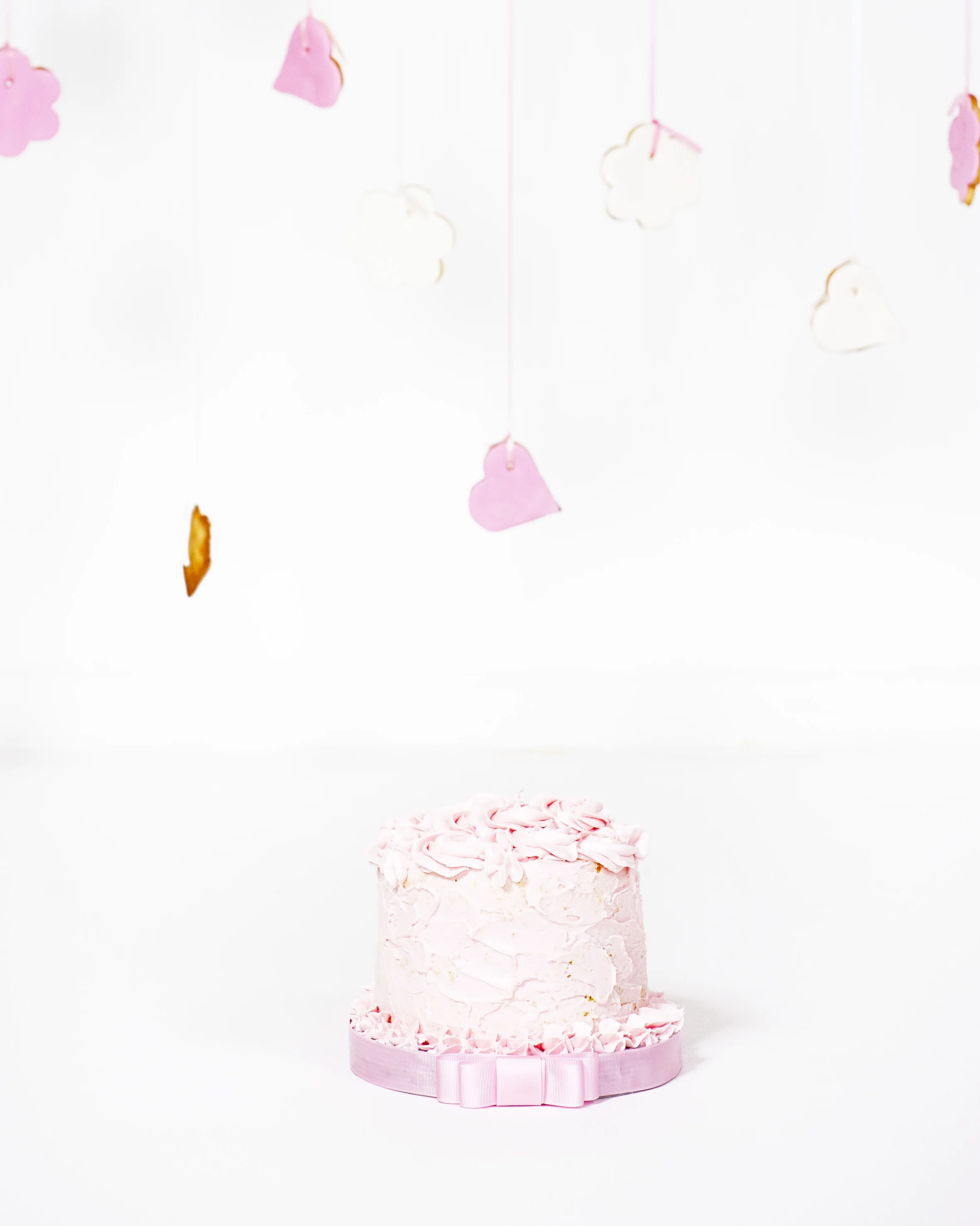 Smash cake11.jpg
