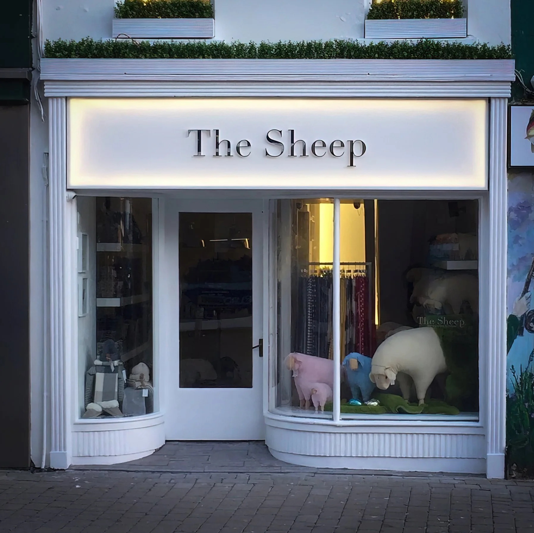The Sheep Lightbox.jpg