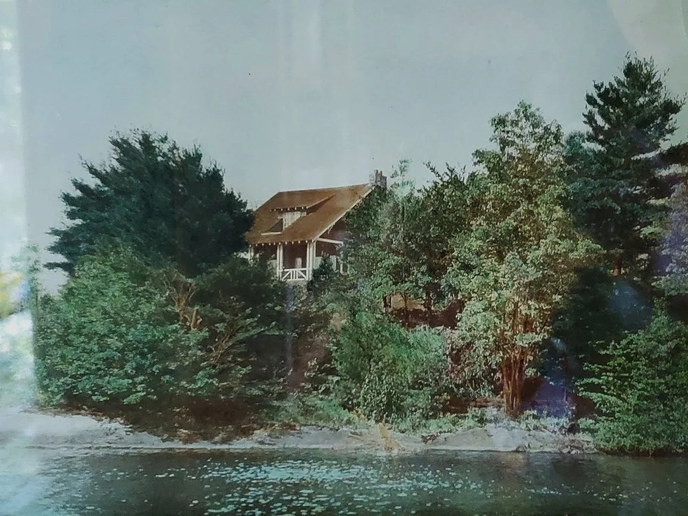 S1 | Rewind Design | E9 Bonnie on Bannockburn Road