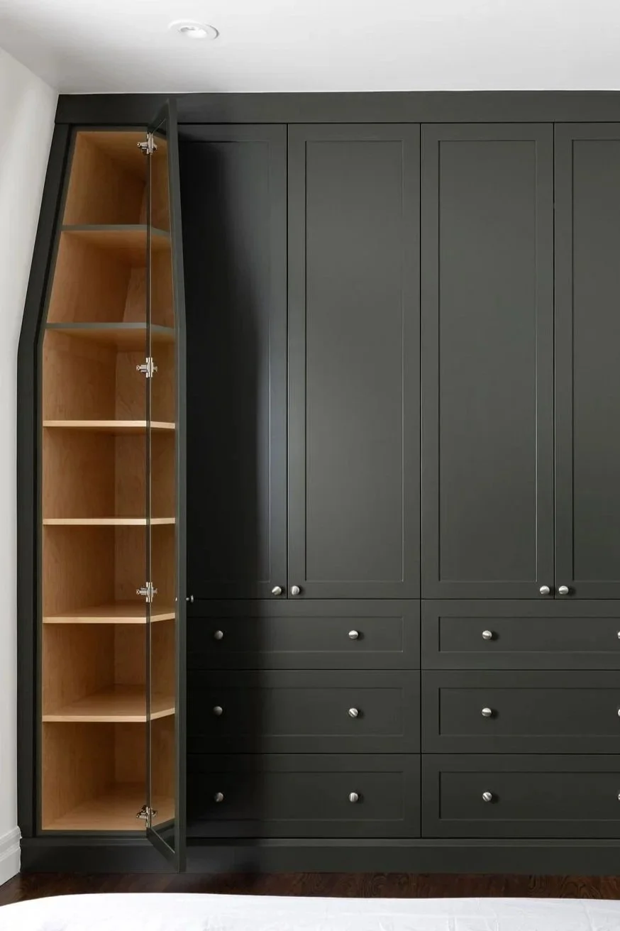 project- roncesvalles closet