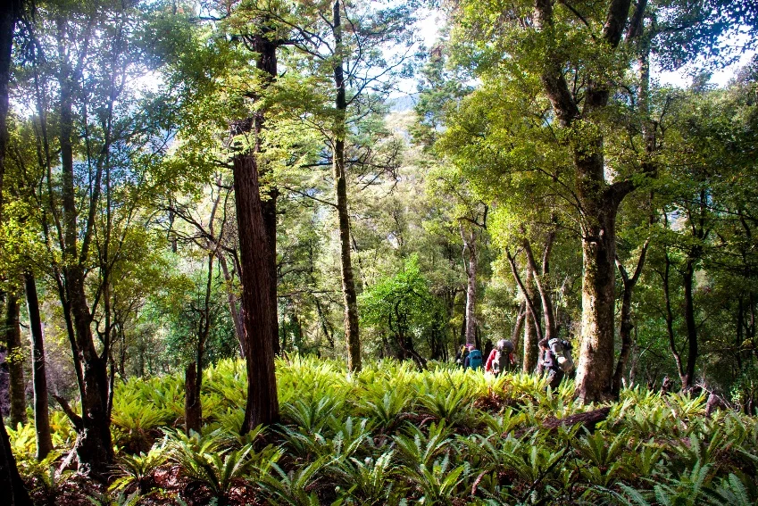 website background.jpg