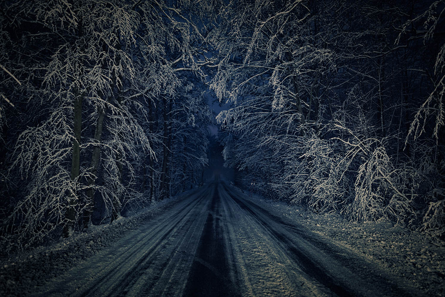 Driving Home.jpg