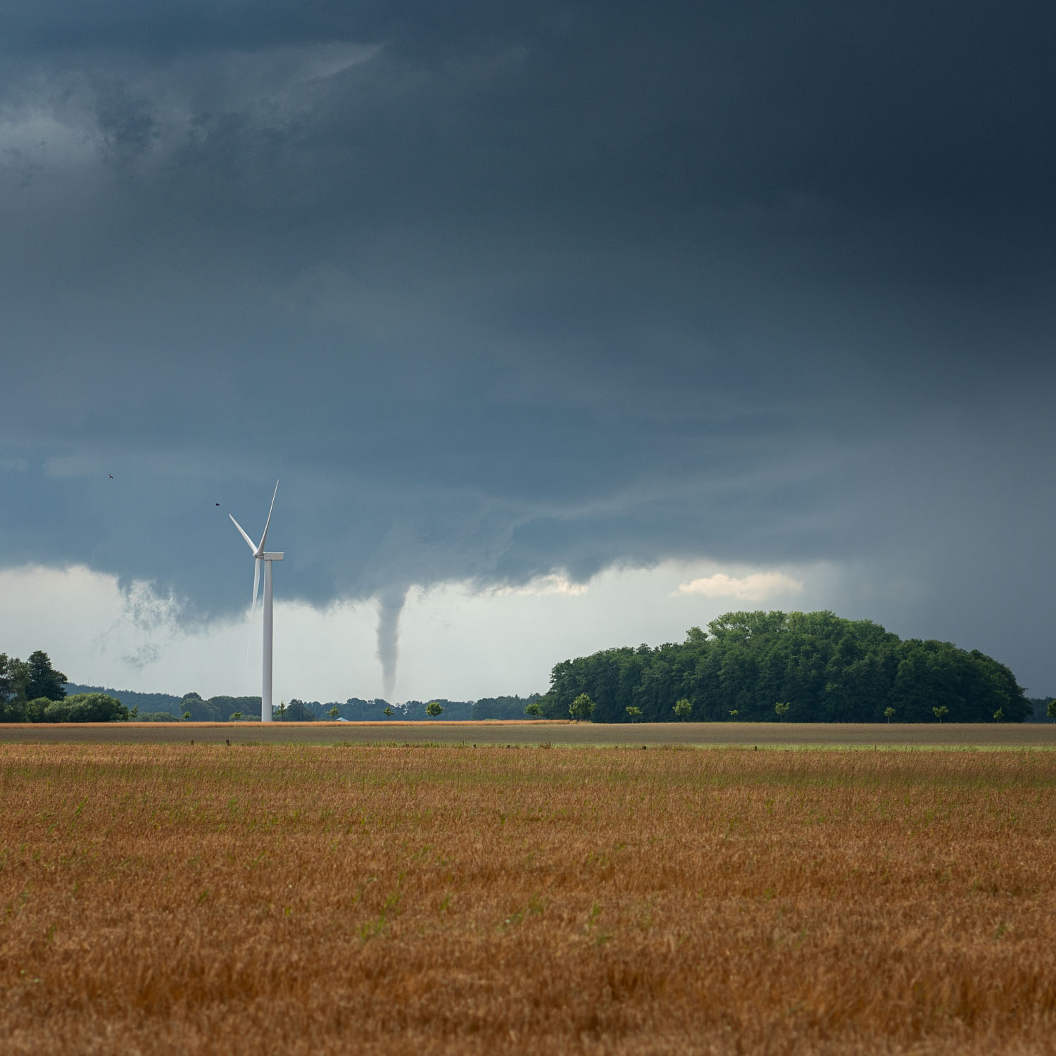 Twisting Turbine