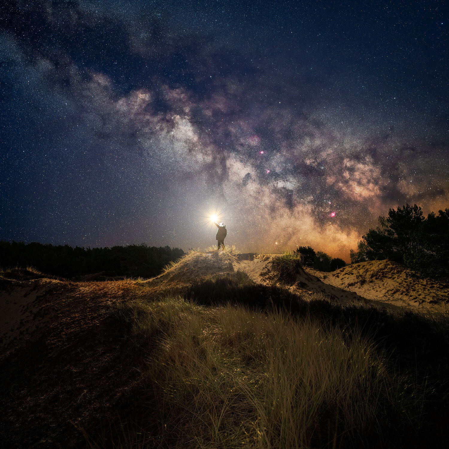 Looking for the Light