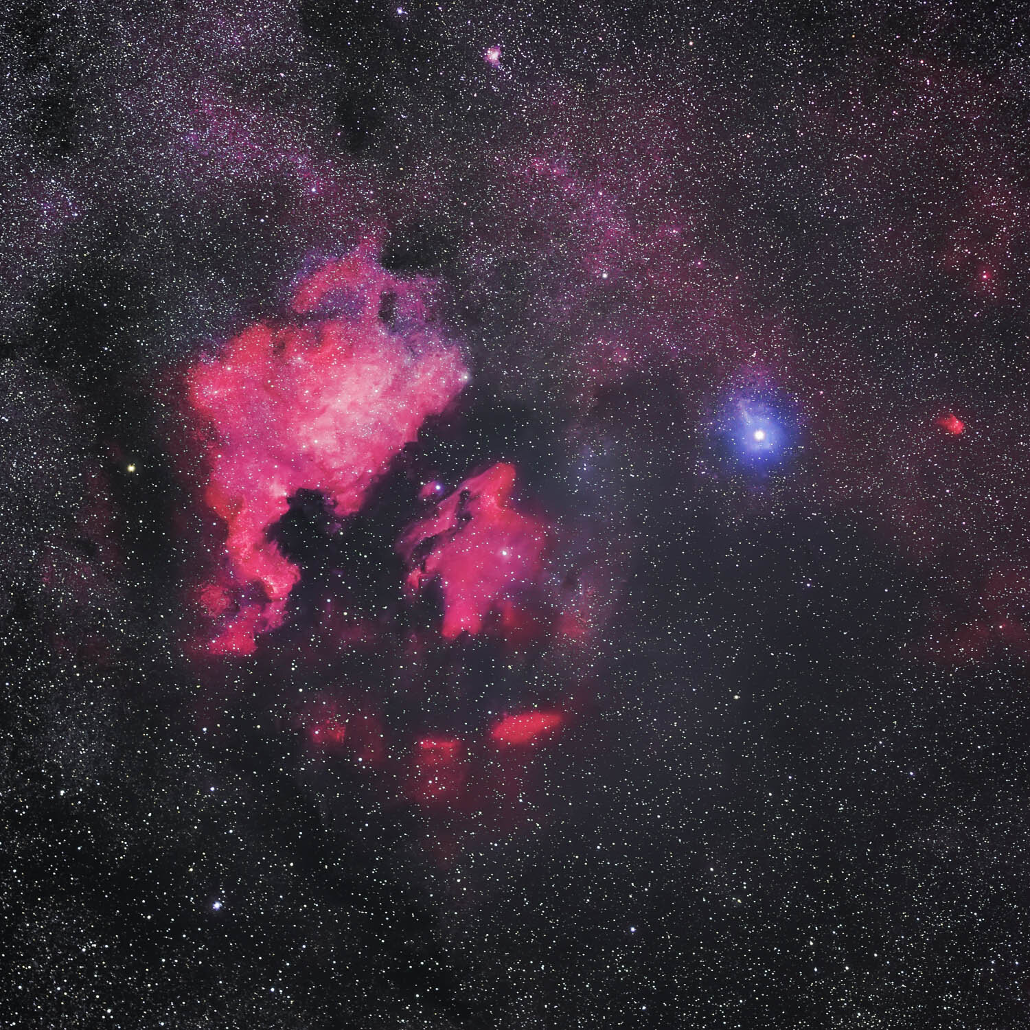 North America Nebula and Deneb