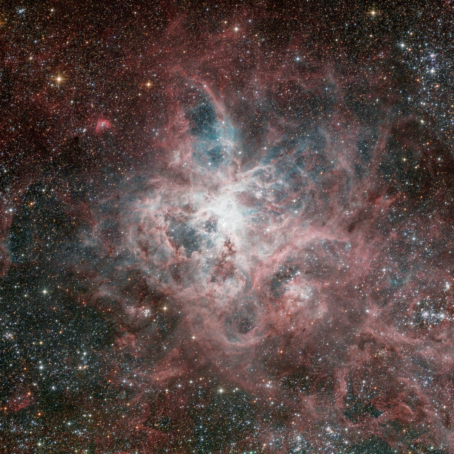Tarantula Nebula