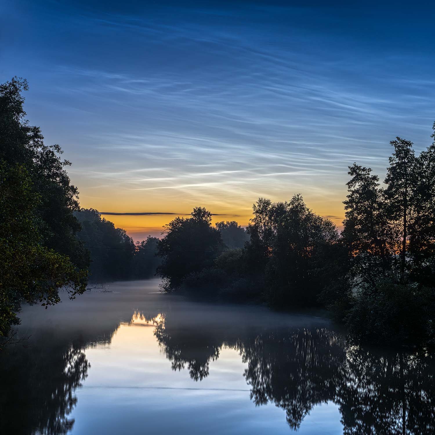 Summernights by Lagan.jpg