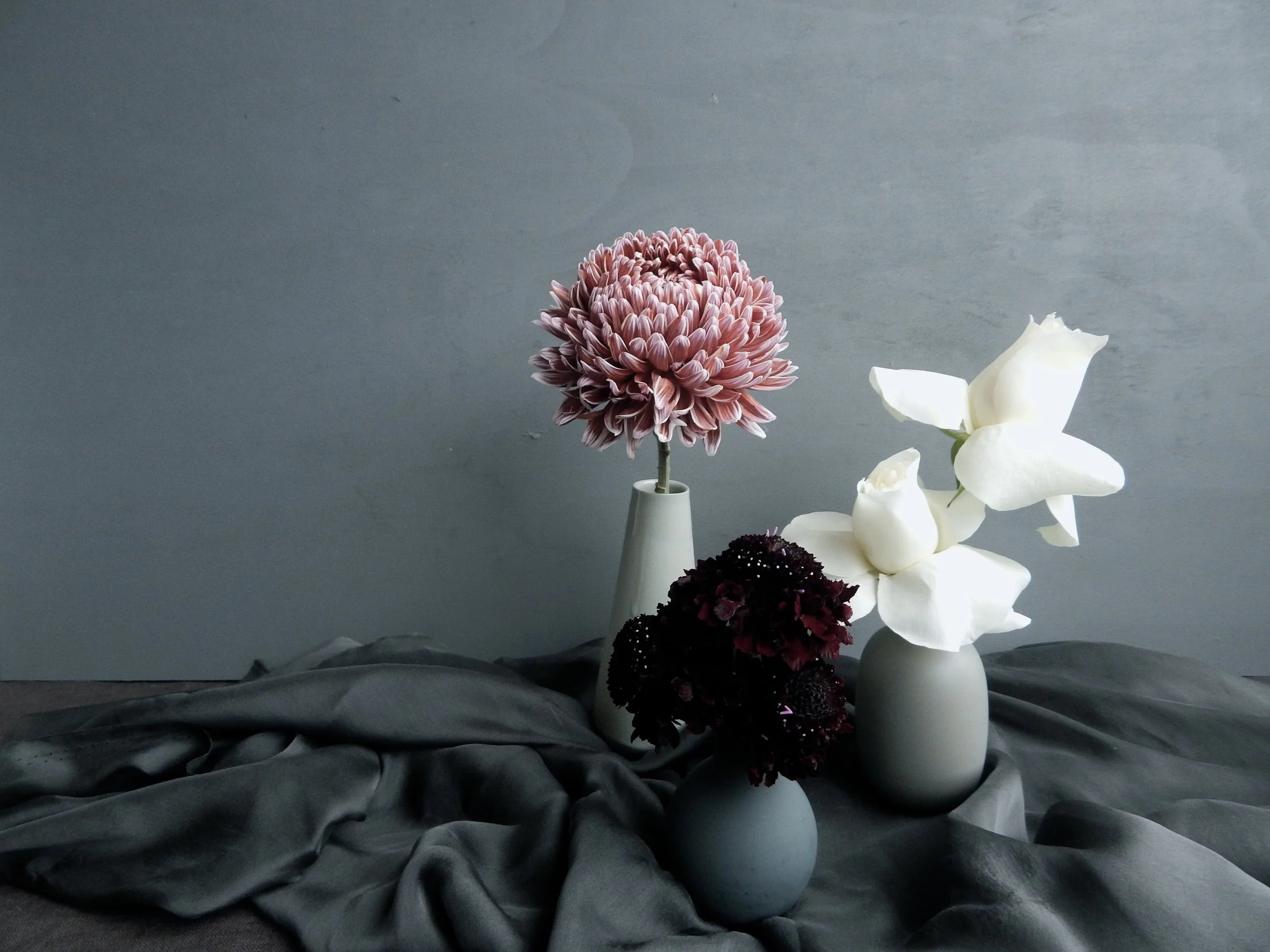 DSCN0908.jpg