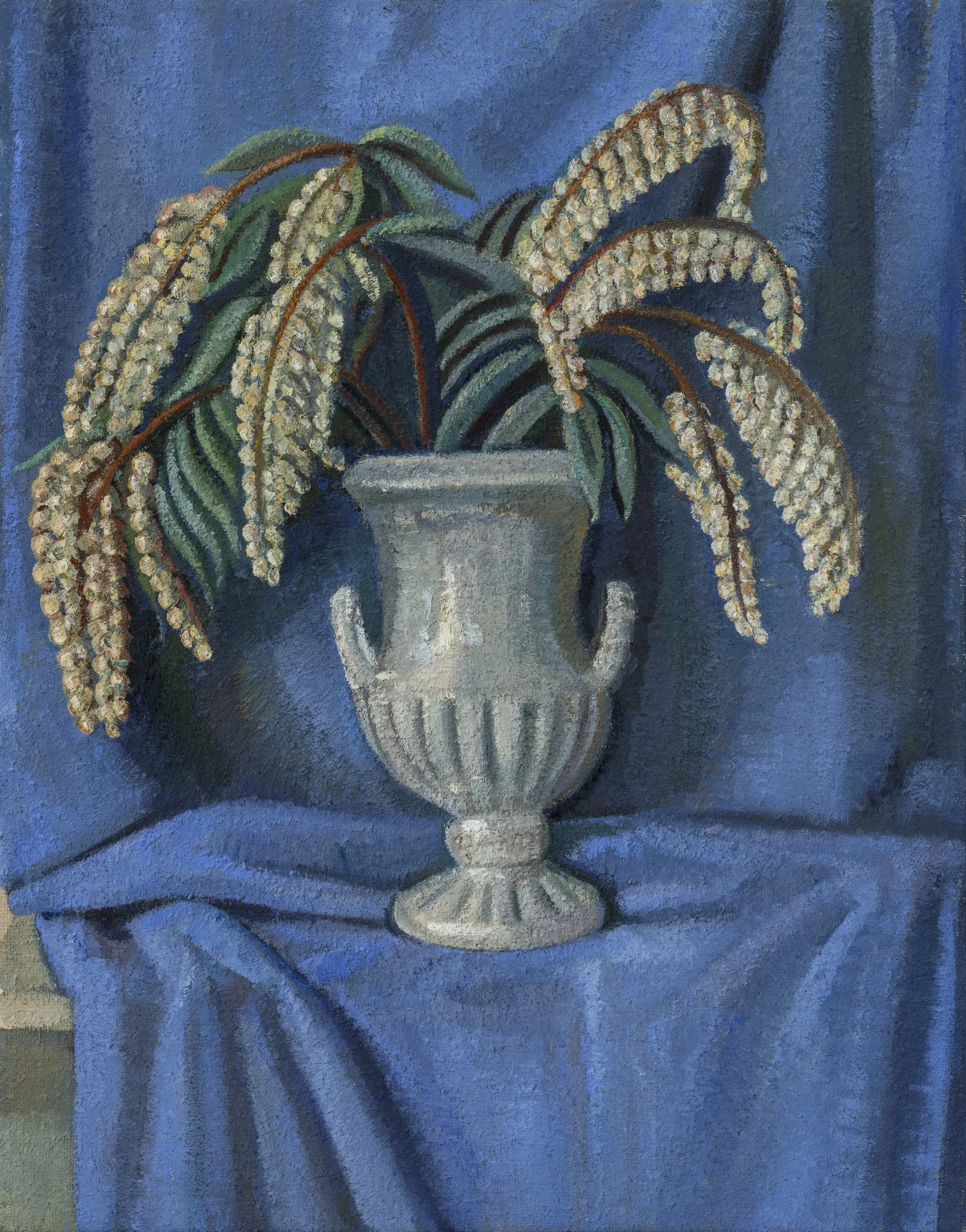 Still life with Pieris Japonica flower