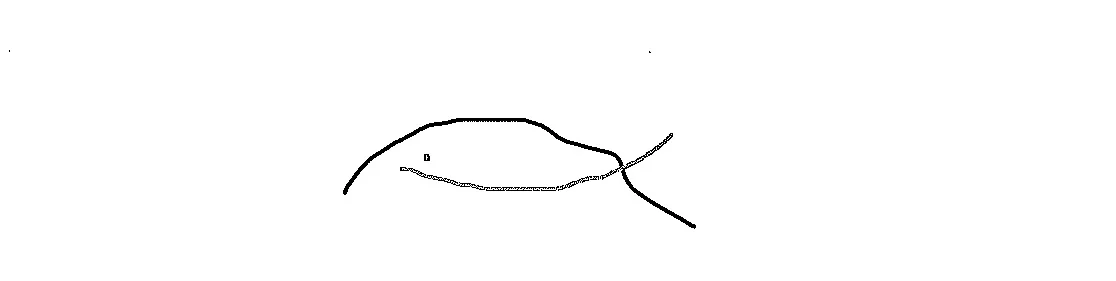 FISH Jesus symbol.jpg