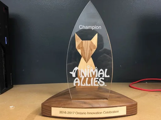 Here is our Ontario Innovation Award from last year... the one which would lead us to Washington DC!