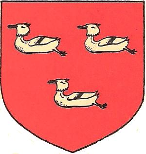 shield.jpeg