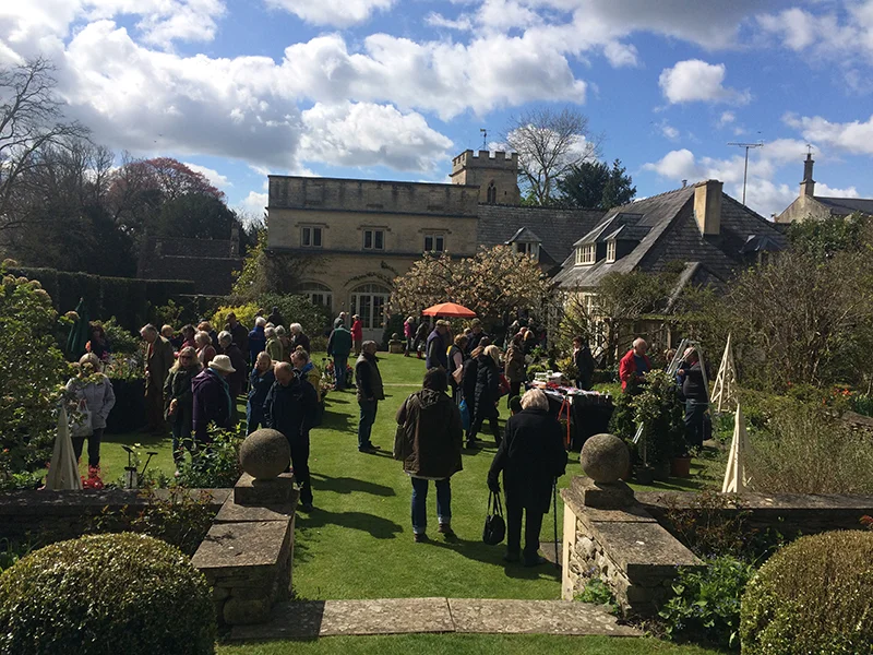 Plant-Fair.jpg