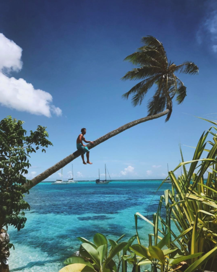 Screen Shot 2017-03-27 at 12.16.48 PM.png