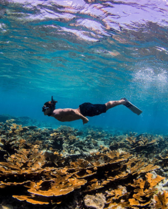 Screen Shot 2017-03-27 at 12.44.22 PM.png