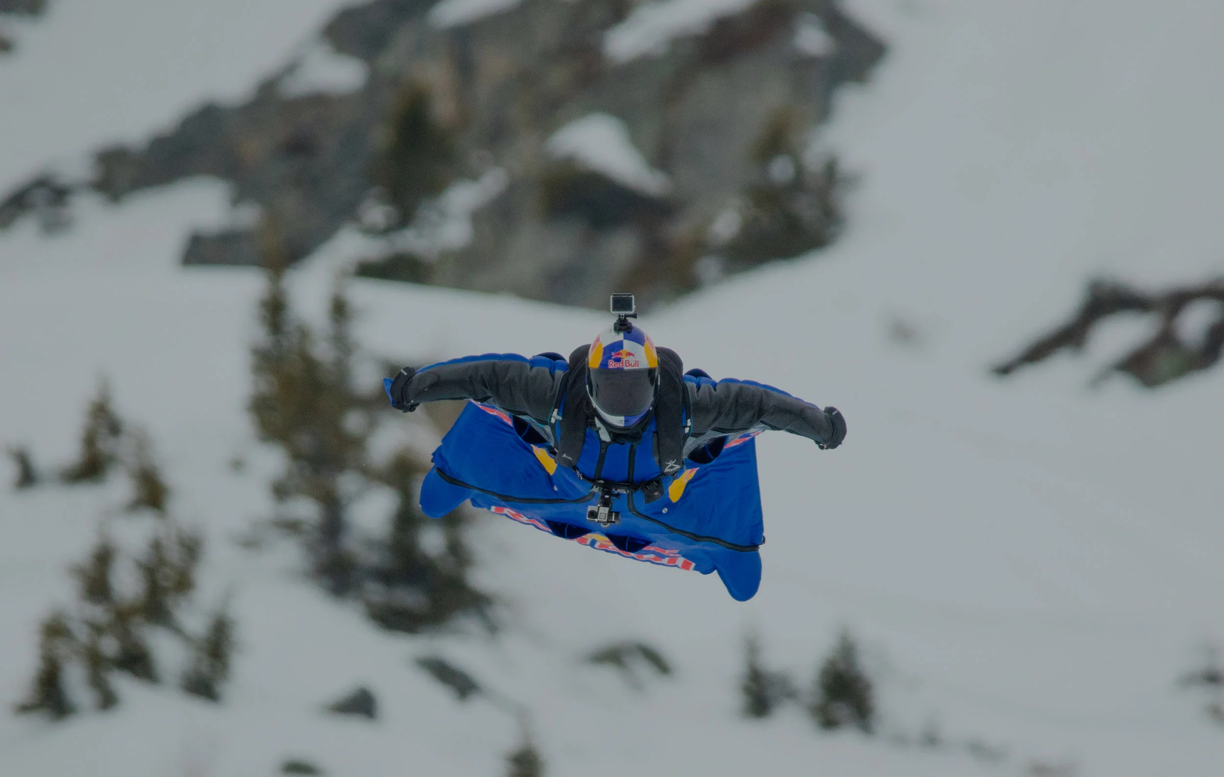 0E9A1958_maxhaim 2.jpg