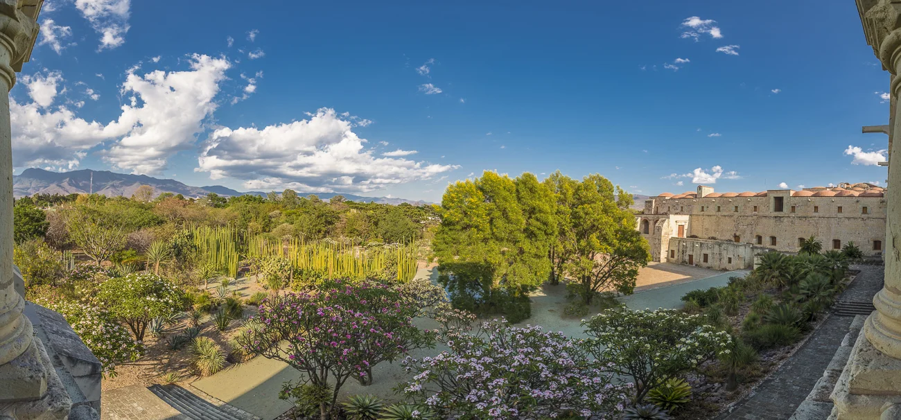 40 Como testimonio de la enorme biodiversidad de Oaxaca tenemos el Jardín Etnobotánico, que muestra cientos de plantas vivas, todas originarias y provenientes de las ocho regiones del estado.