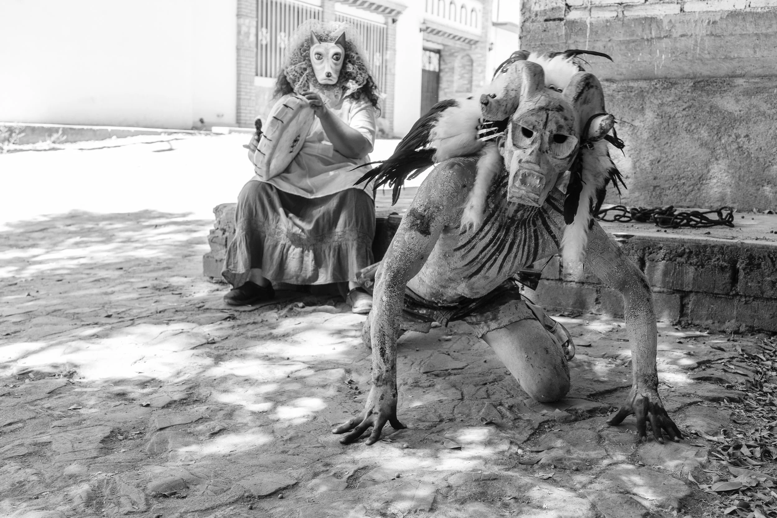   Cimarrón  y perro. 2019 