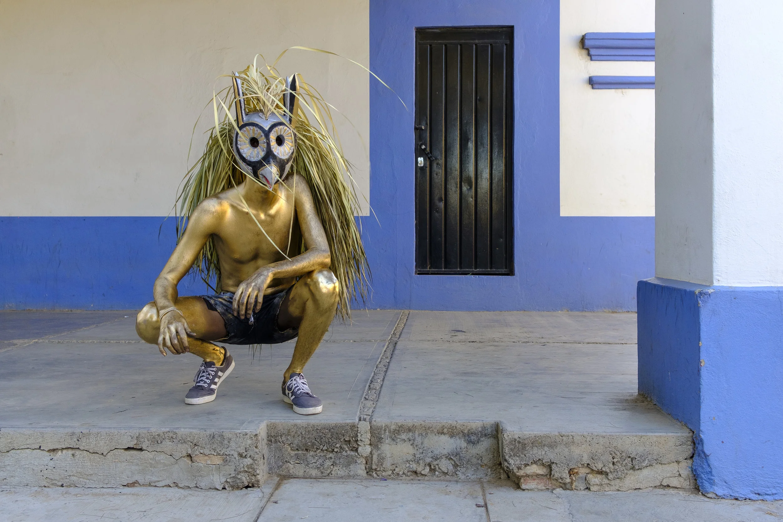   Búho  dorado. 2019 