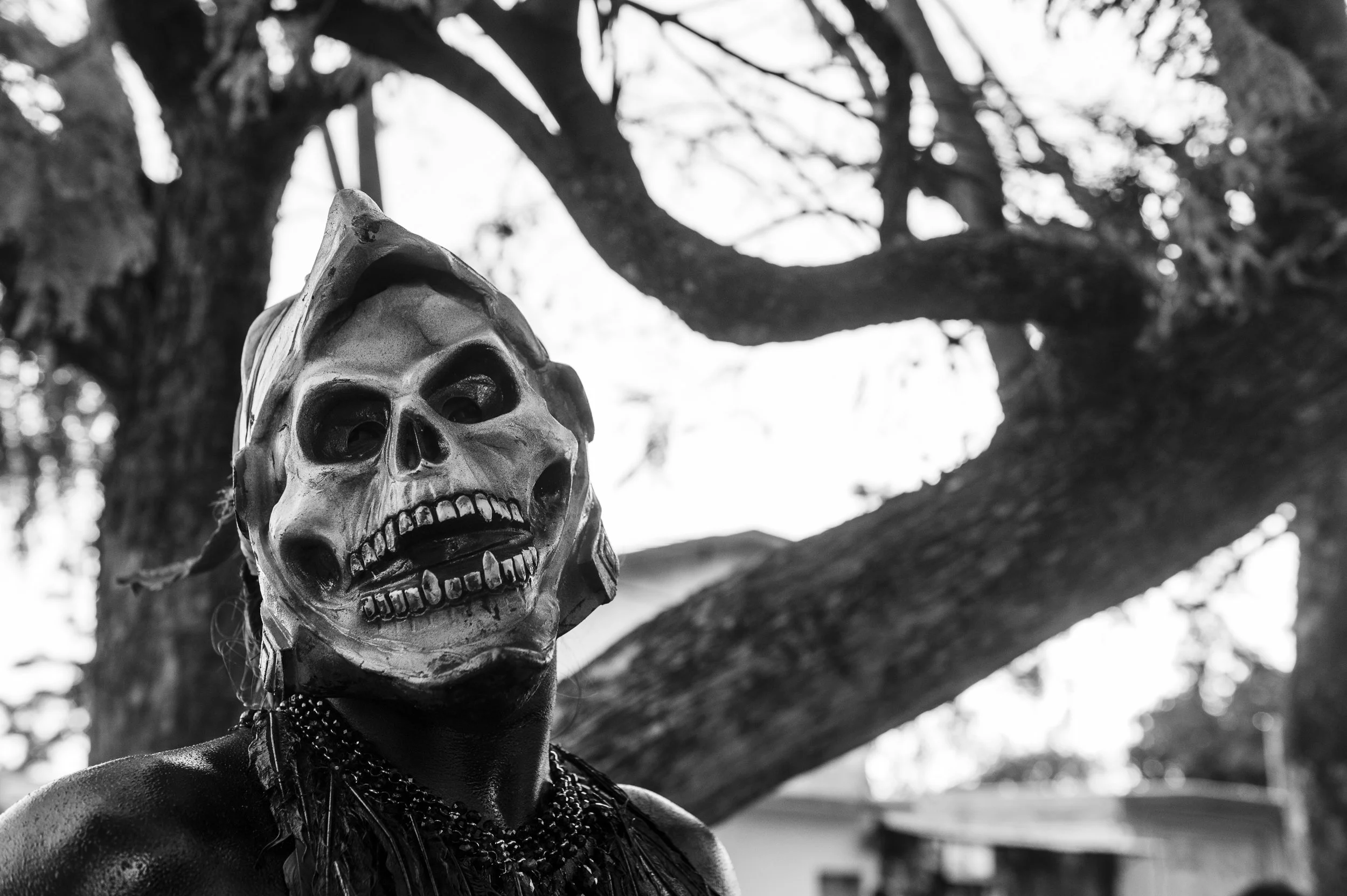   ¡ Qué  miedo ! . 2019 