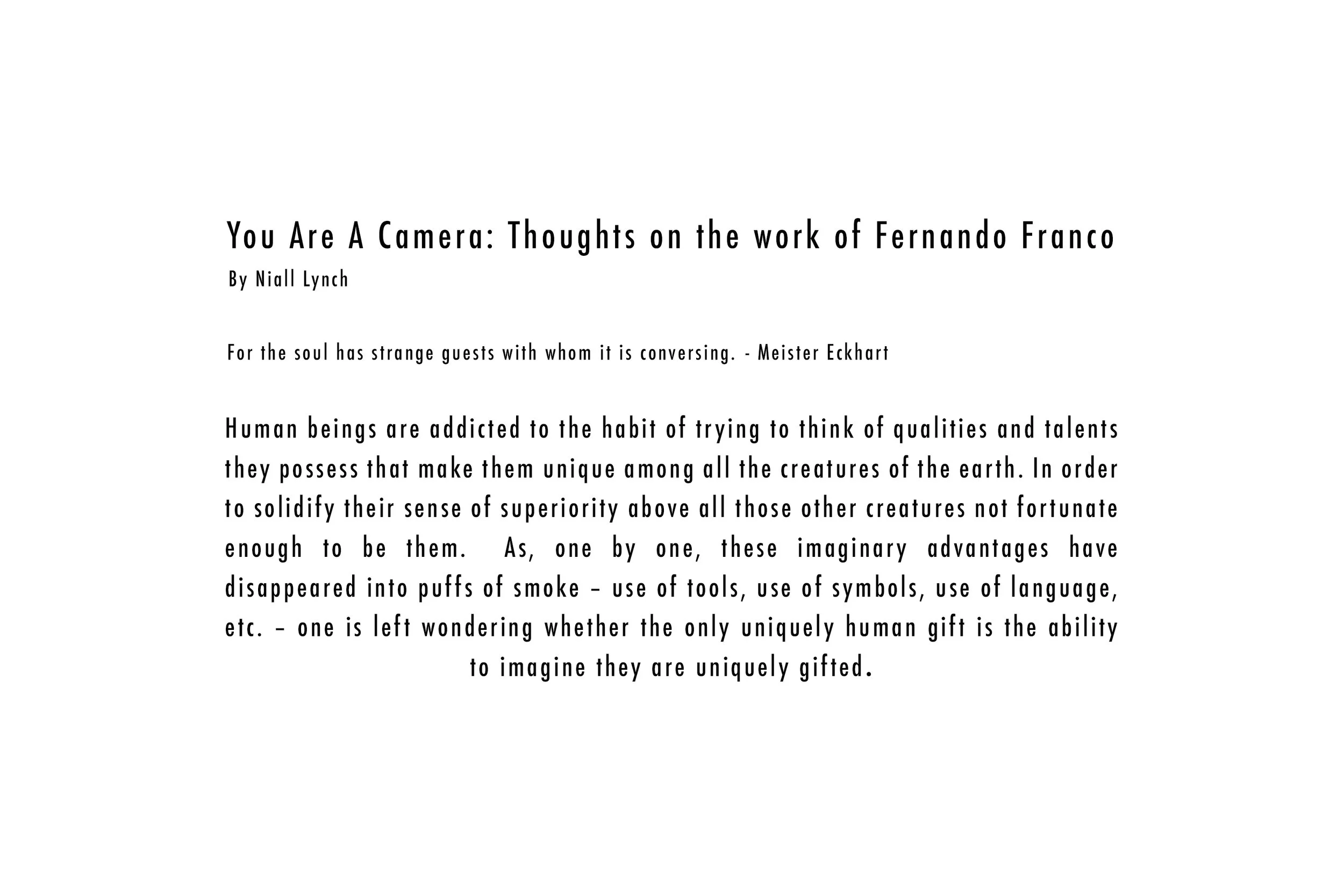 Texto Niall web 01.jpg