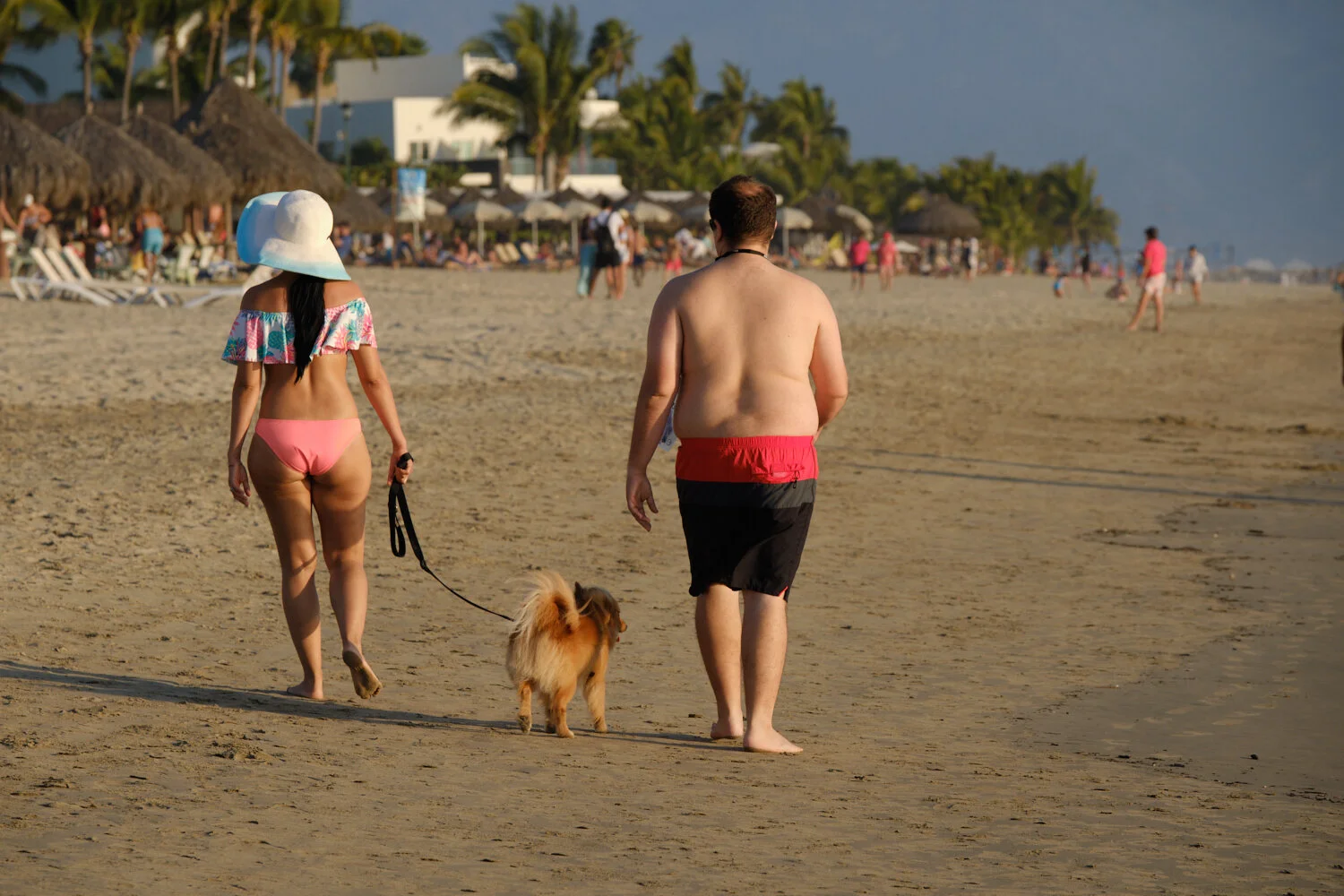  Pomerania pasea con sus dueños,  Nuevo Vallarta, Nayarit, México.  
