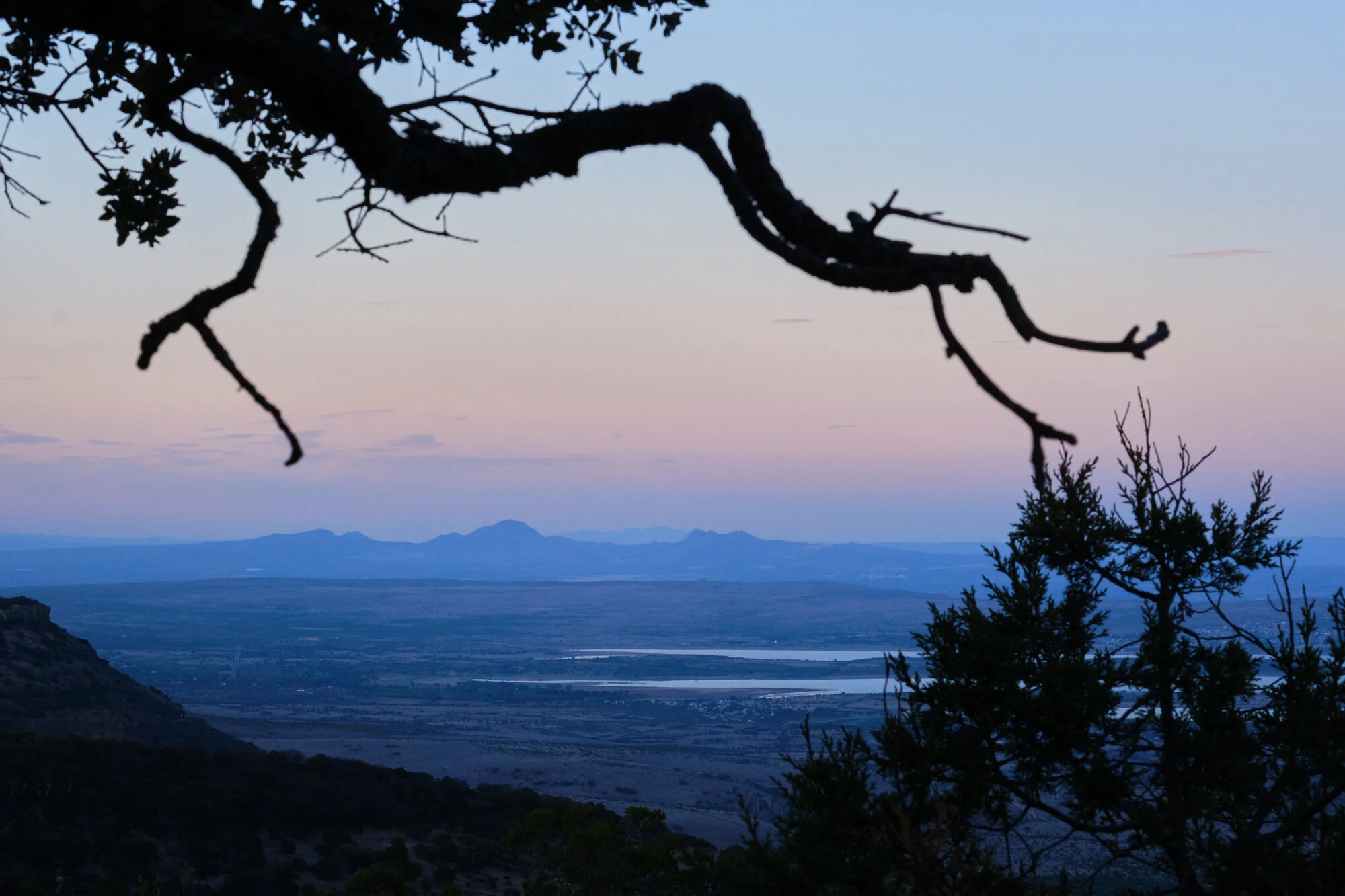   Sierra Fría,  San José de Gracia, Aguascalientes, México. 