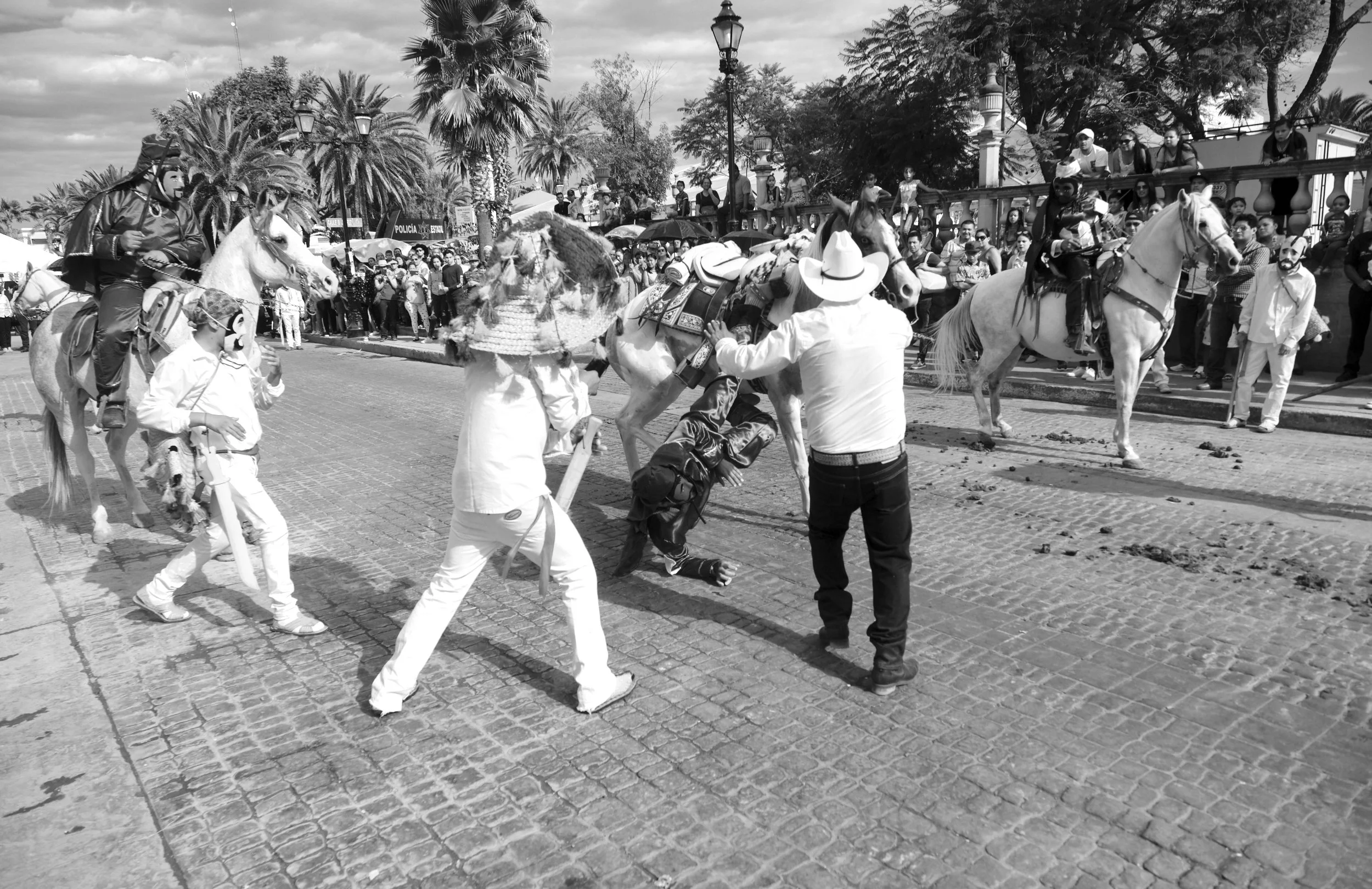 17_FFF7916.jpg