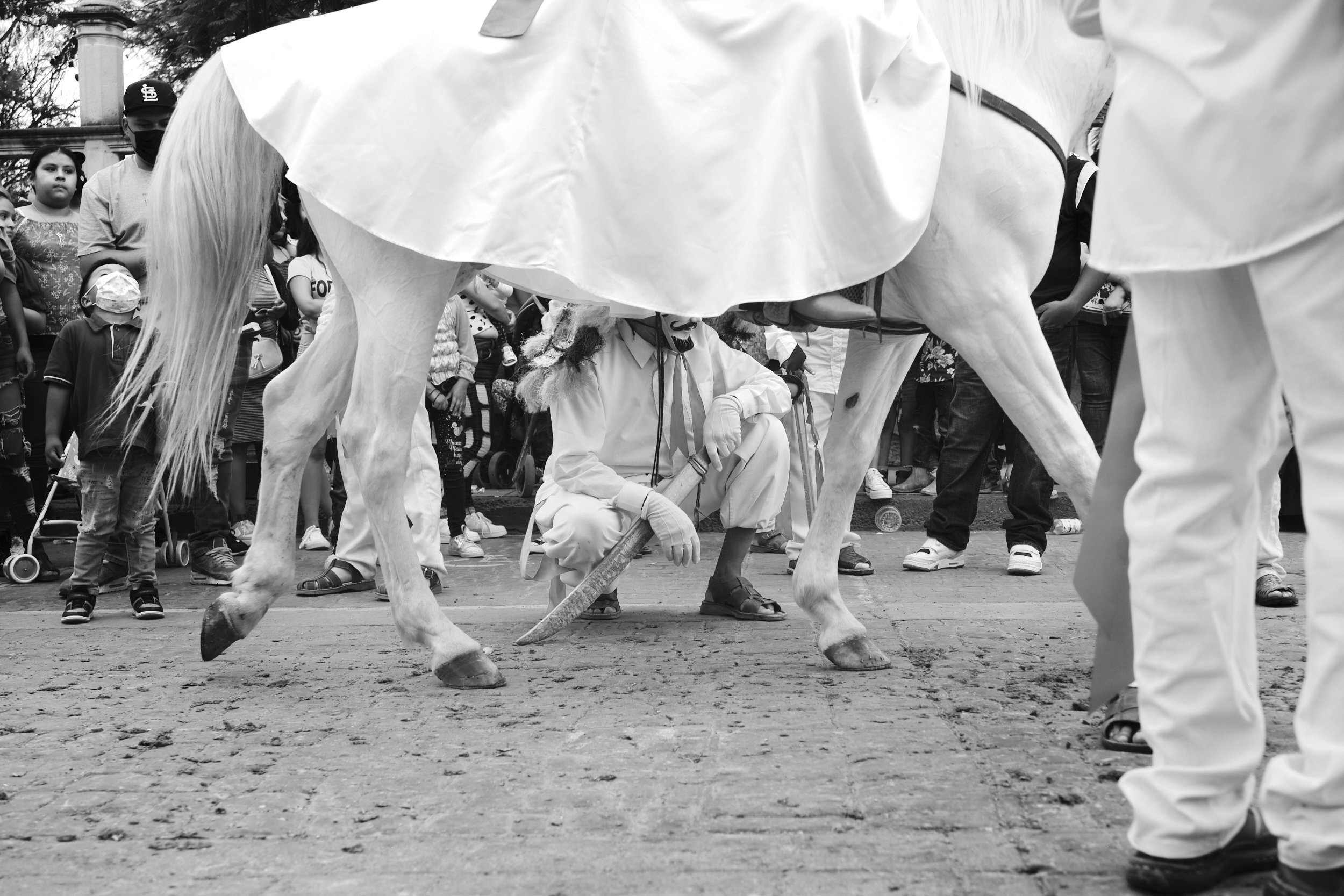 19_FFF5464.jpg