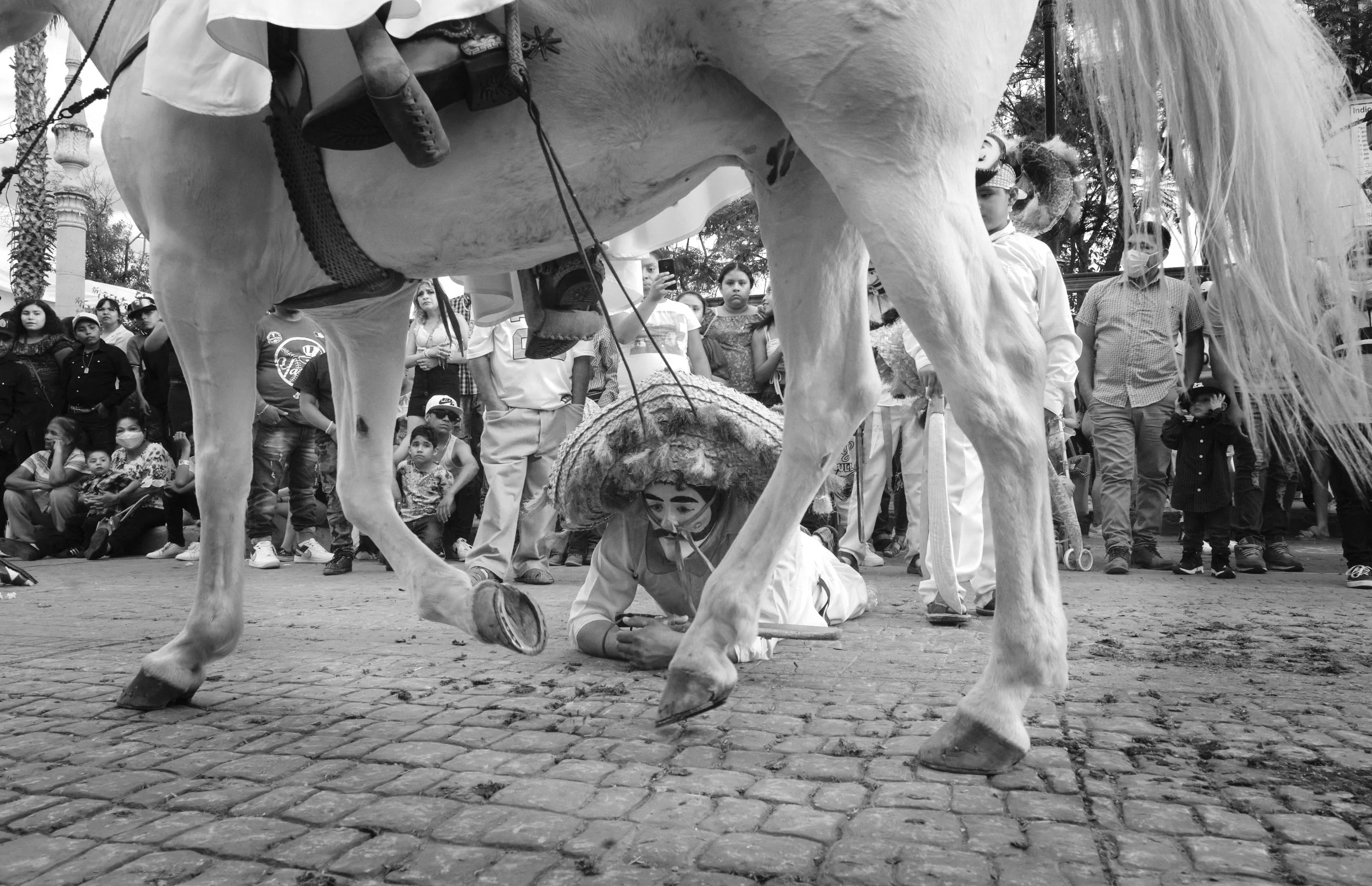 20_FFF5498.jpg