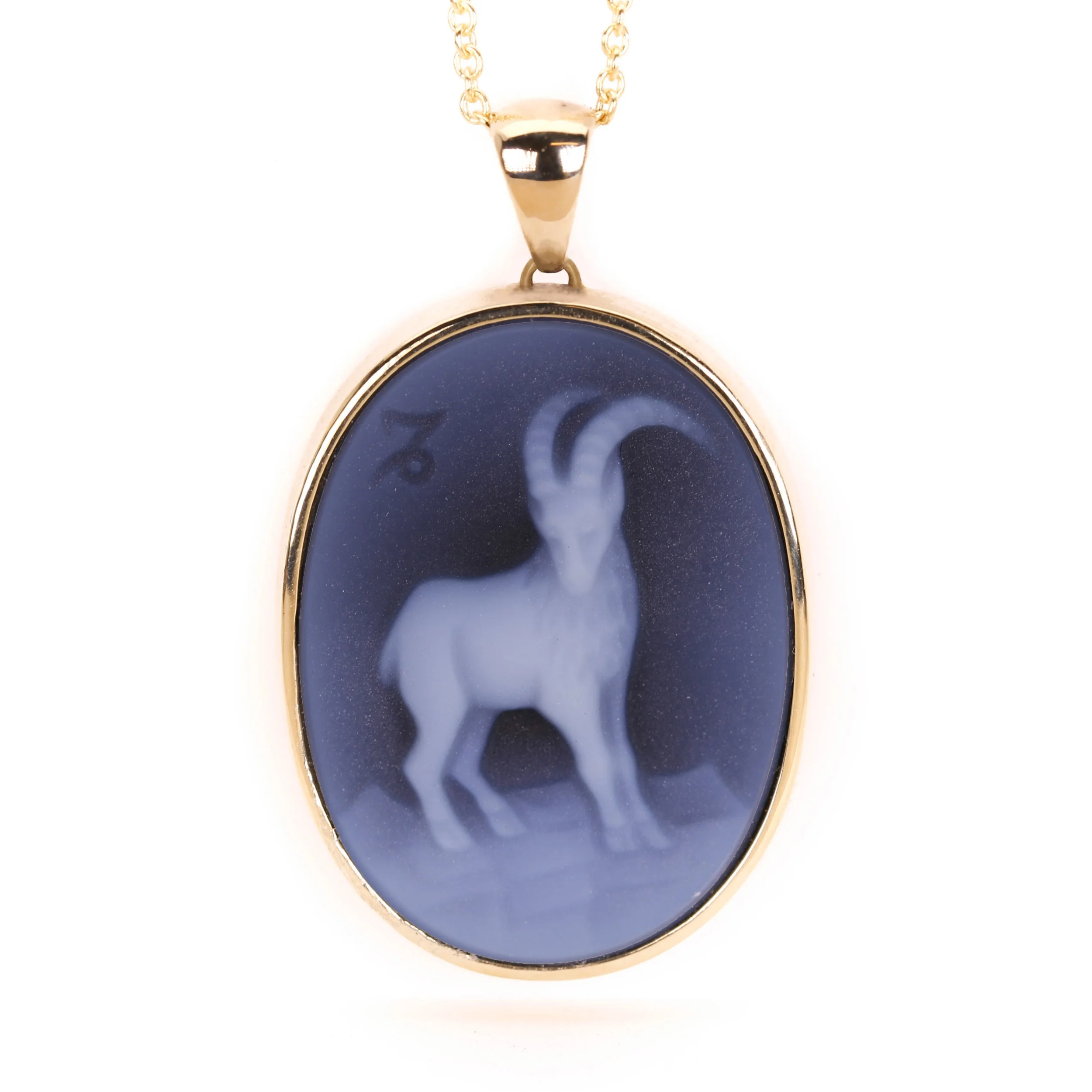 Cameo - Capricorn 14Y.jpg