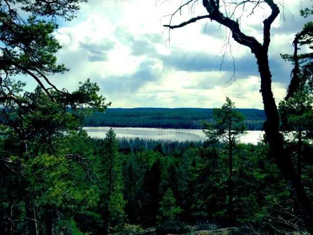 Visit the beautiful "hidden pearl" lake Lunnsjön nearby where Petra and Fredrik lives!