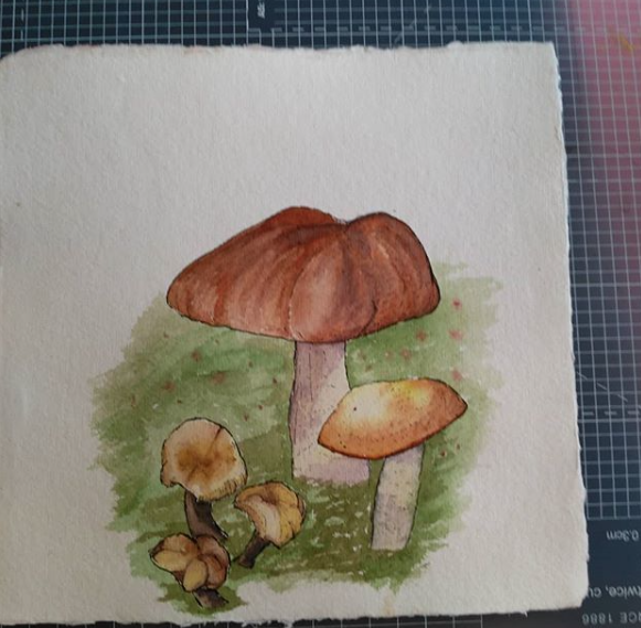 Mushroom painting by Robin Tynan, inspired from the visit in the nature surrounding Helsinglight. Photo Robin Tynan