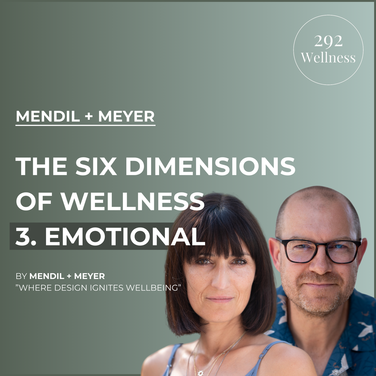 The Six Dimensions Of Wellness 3. Emotional Wellbeing - Mendil + Meyer | 292 Wellness Ep 006 episode artwork