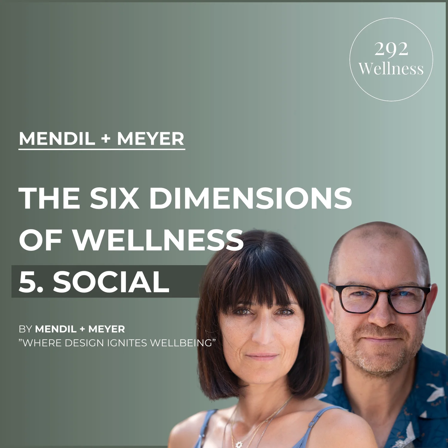 The Six Dimensions Of Wellness 5. Social Wellness- Mendil + Meyer | 292 Wellness Ep 008 episode artwork