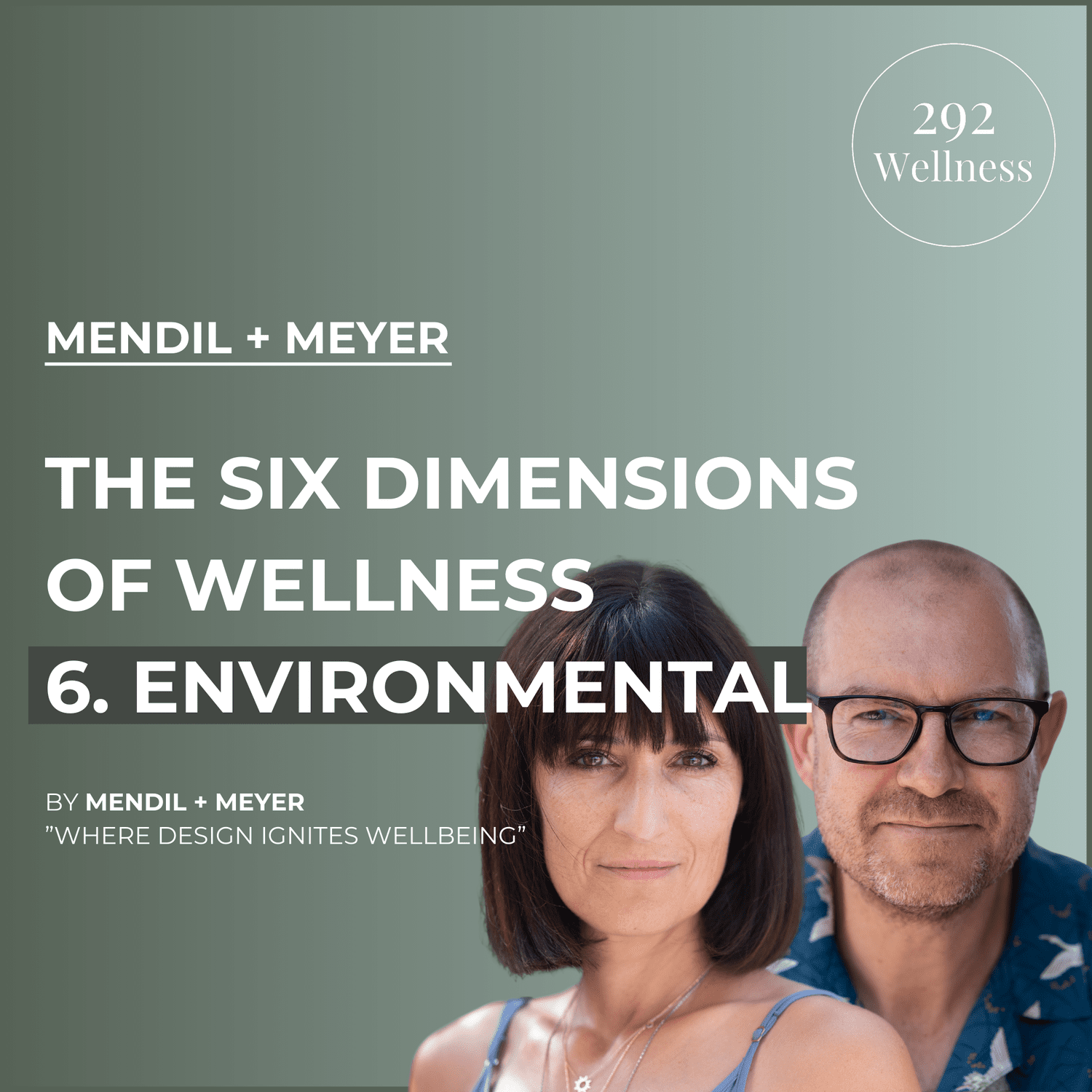 The Six Dimensions Of Wellness 6. Environmental Wellness- Mendil + Meyer | 292 Wellness Ep 009 episode artwork