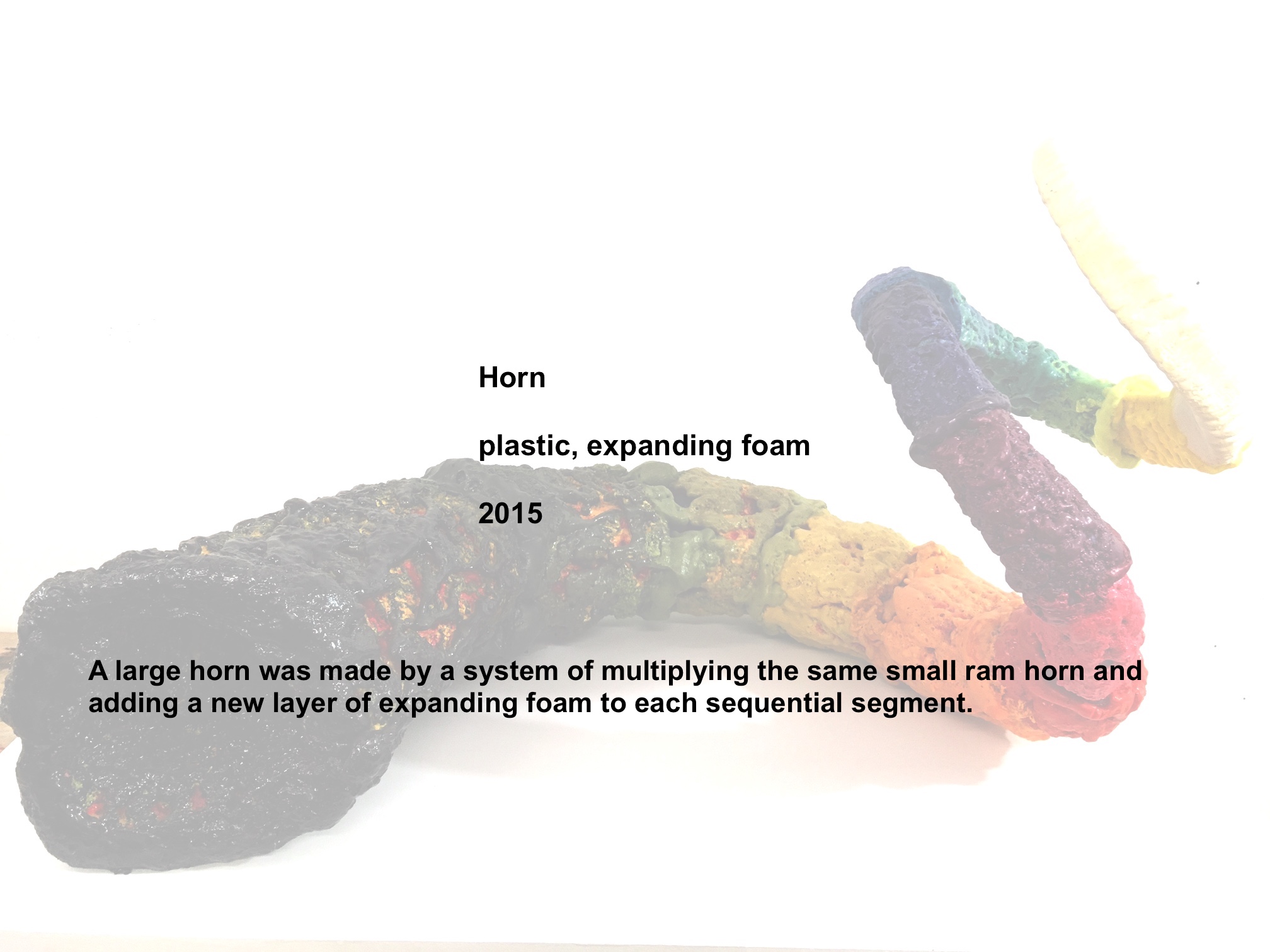 systemhorn title.jpeg