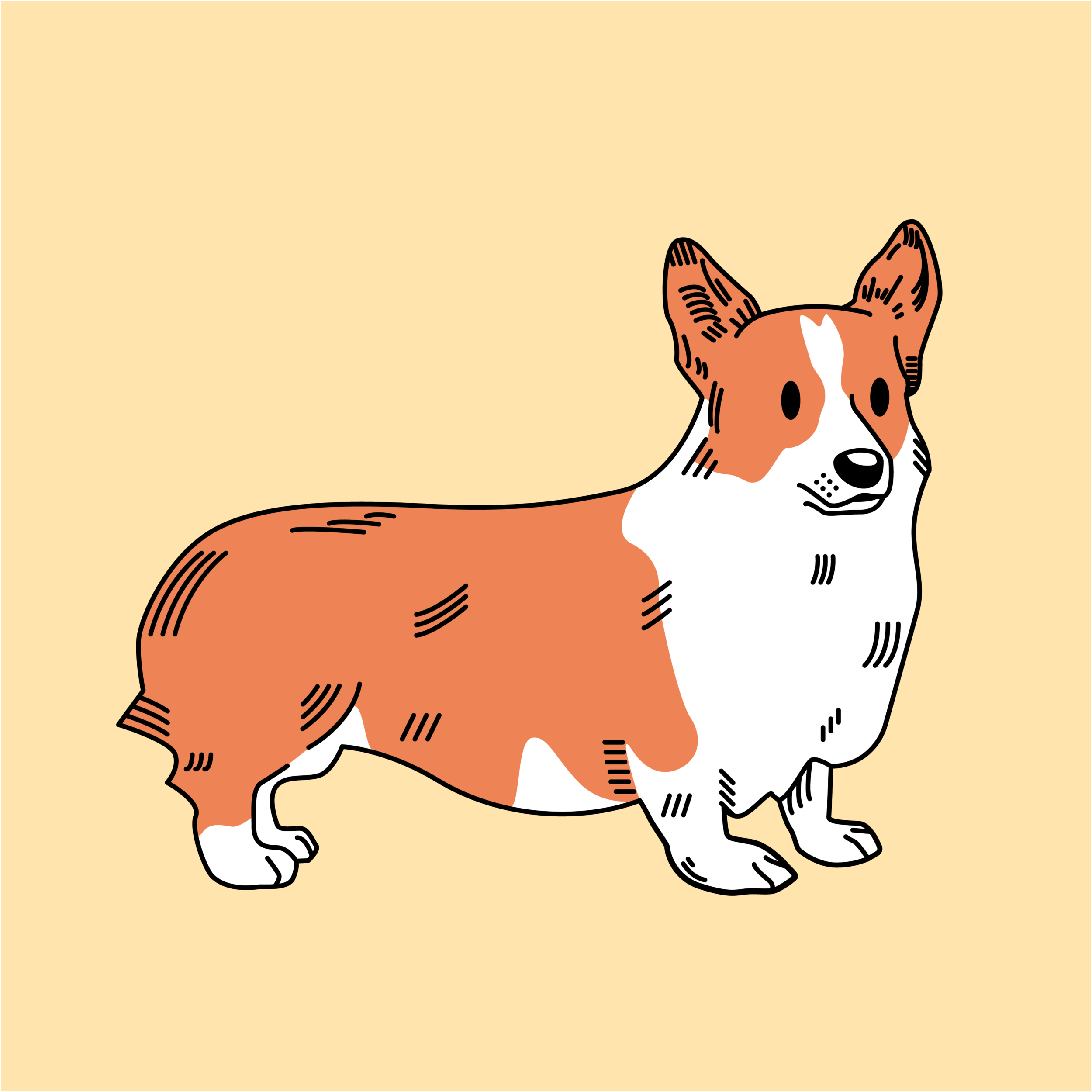 Corgi_TrevorYardleyJones.png