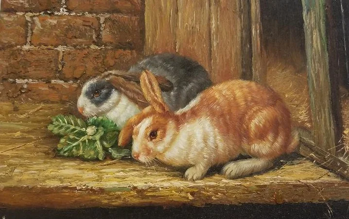 daniels_bunnies_5x7.jpg