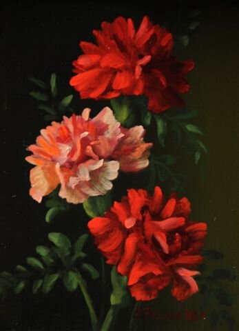 Carnations, 8x6.jpg