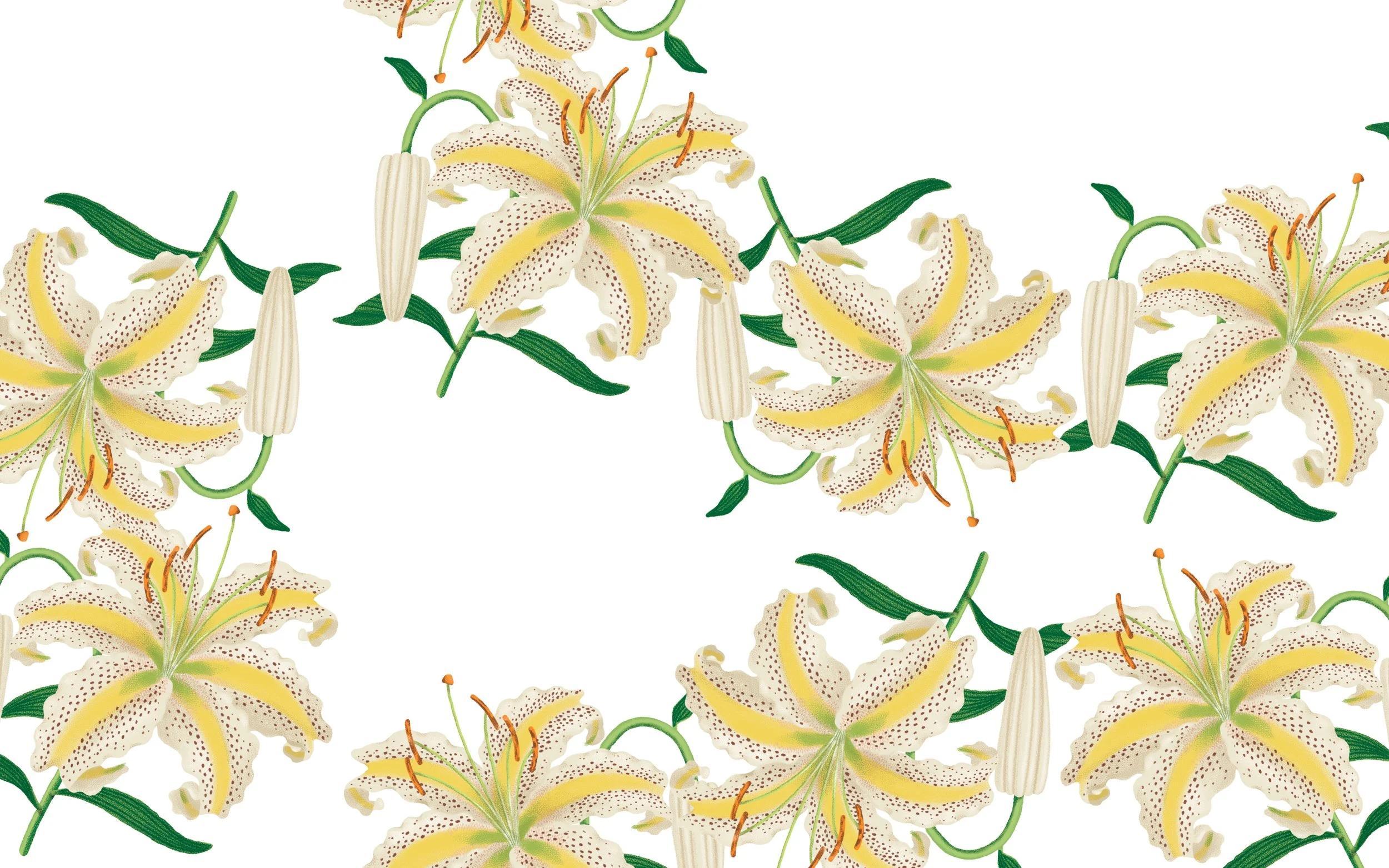 MARKARIAN_White Lily Repeat2.jpg