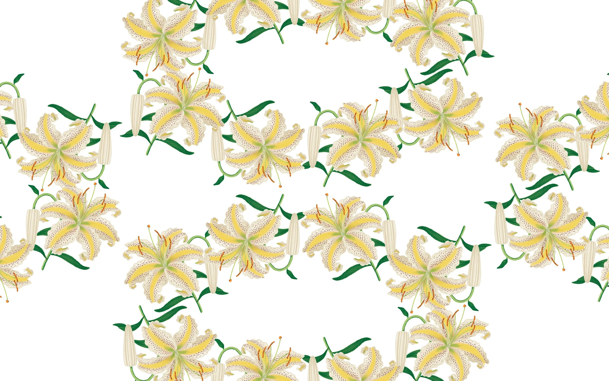 MARKARIAN_White Lily Repeat.jpg