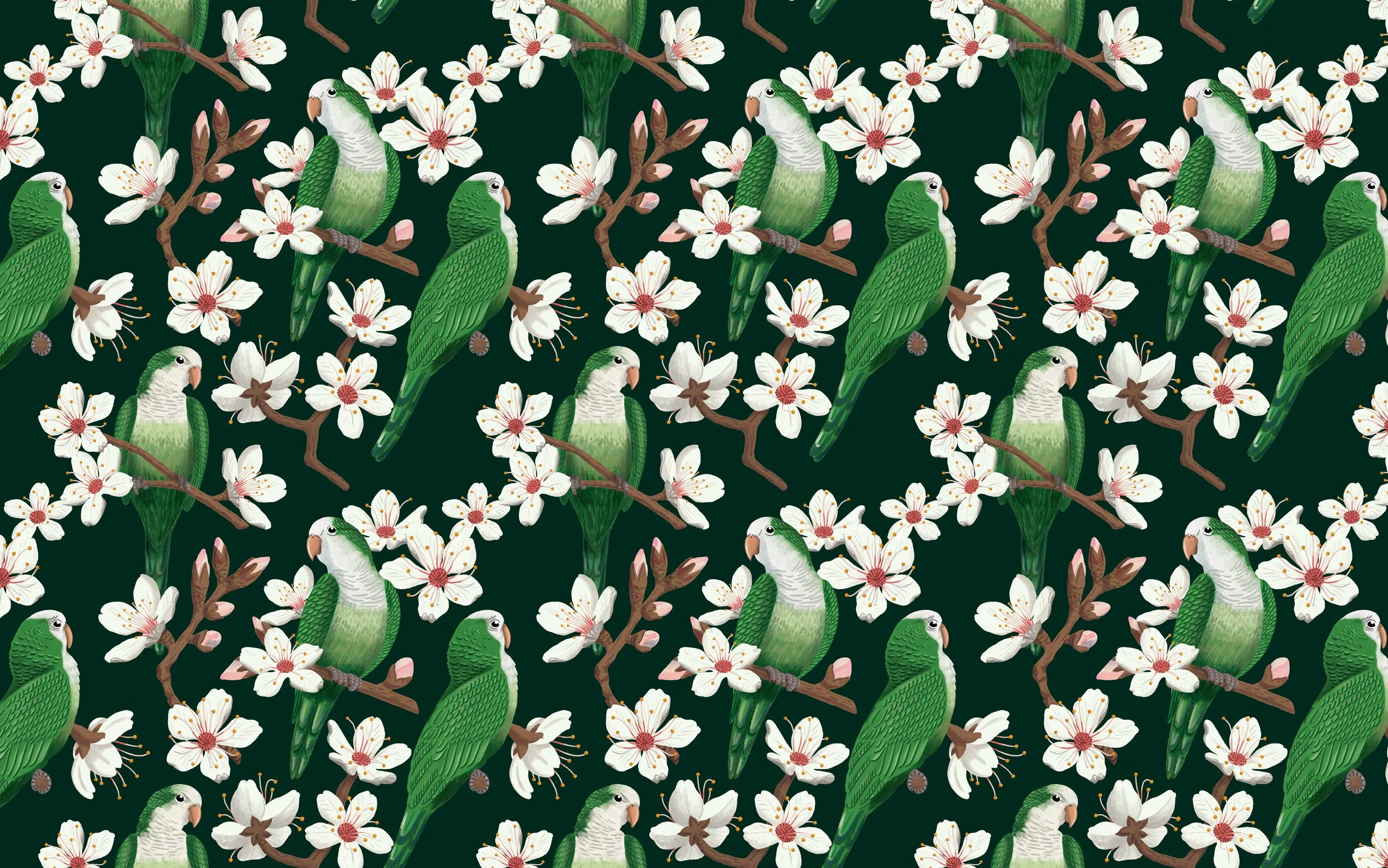 BOU_Parrots & Almonds 1.jpg