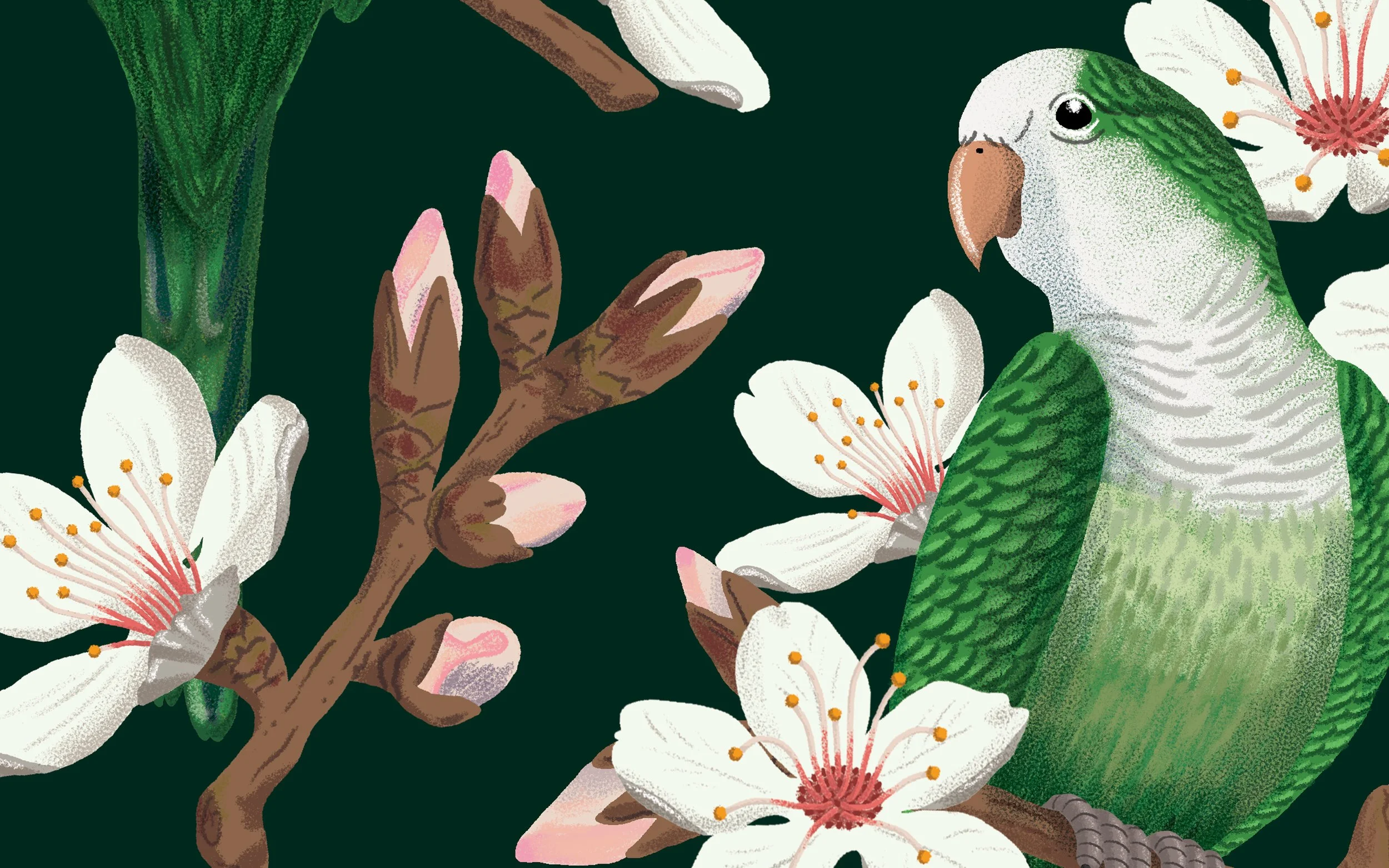 BOU_Parrots & Almonds 3.jpg