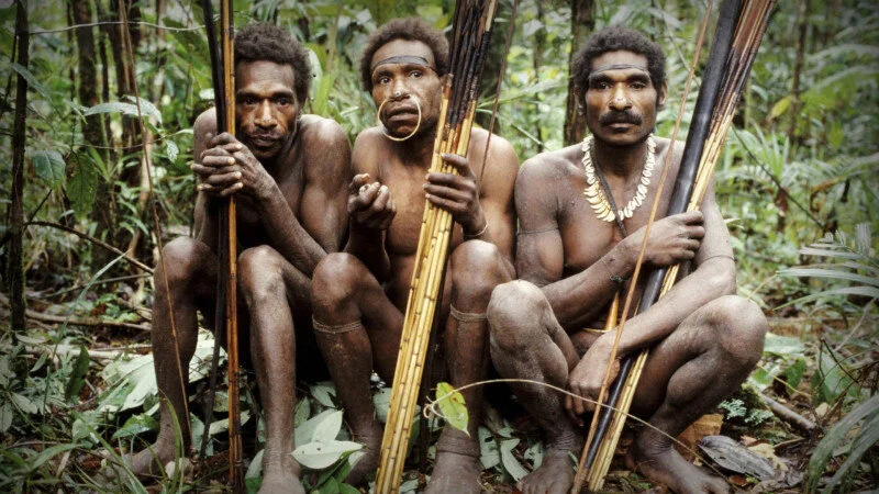 The Danger of Specialized Tribes