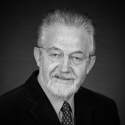 Emeritus Professor Dov Bing