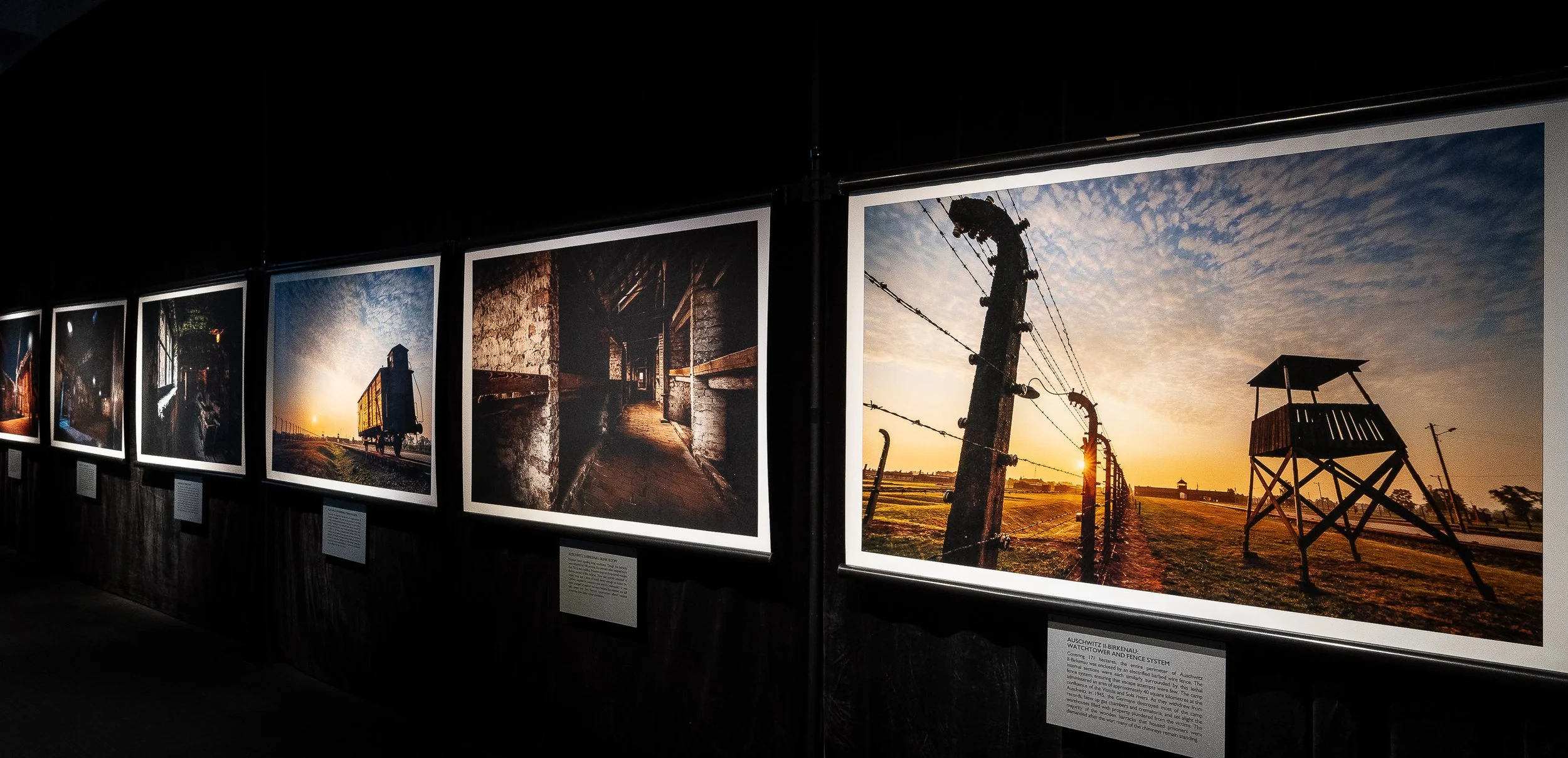 Auschwitz. Now. open in Birkdale, Auckland, NZ
